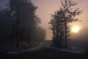 country road in winter